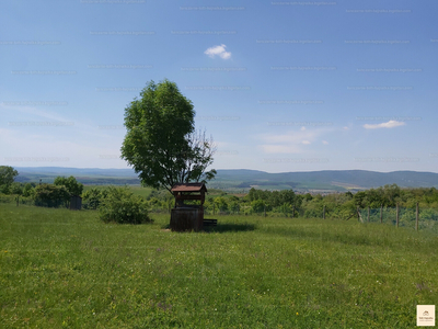 Eladó üdülőövezeti telek - Pásztó, Fülemüle utca