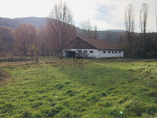 Eladó termőföld, szántó - Budakeszi