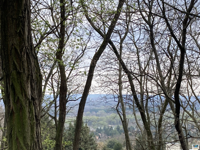 Eladó telek - Szentendre