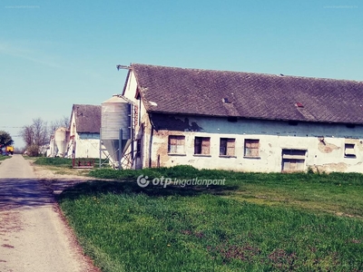 Attala, ingatlan, mezőgazd. ingatlan, 8989 m2, 179.000.000 Ft