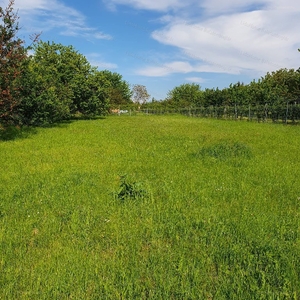 Balatonberény, ingatlan, telek, 20.512.590 Ft