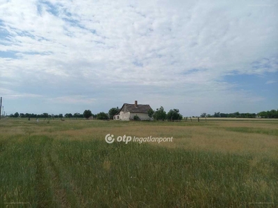 Csongrád, ingatlan, mezőgazd. ingatlan, 159818 m2, 58.000.000 Ft