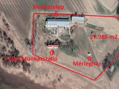 Domaszék, ingatlan, üzleti ingatlan, 1000 m2, 110.000.000 Ft