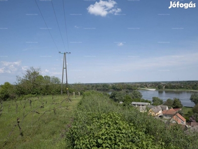 Dunaszekcsőn családiház, présházzal nagy telekkel eladó