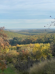 Eger, ingatlan, nyaraló, 60 m2, 16.000.000 Ft