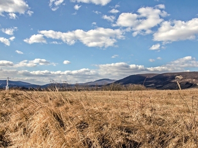 Erdőbénye, ingatlan, mezőgazd. ingatlan, 101374 m2, 36.000.000 Ft