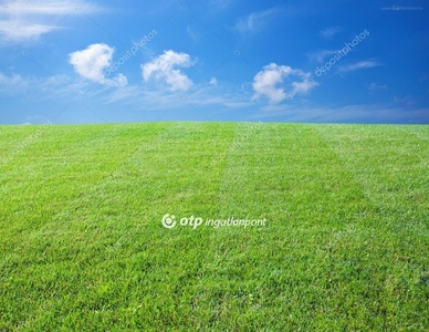 Fót, ingatlan, mezőgazd. ingatlan, 3050 m2, 9.000.000 Ft