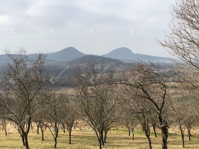 Káptalantóti, ingatlan, telek, 8.000.000 Ft