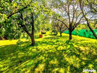 Kópháza közepén egyedi teljes panorámás 1000nm telek befektető is jó