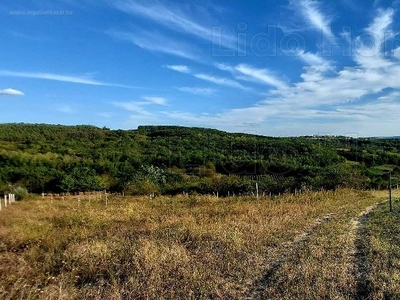 Kötcse, ingatlan, mezőgazd. ingatlan, 13639 m2, 6.000.000 Ft