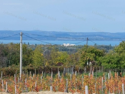 Kőröshegy, ingatlan, telek, 49.000.000 Ft