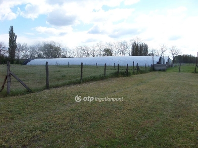 Petőfiszállás, ingatlan, telek, 75.000.000 Ft