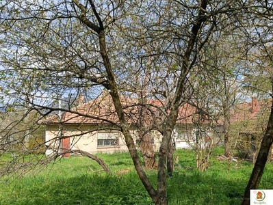 Piliscsaba, ingatlan, ház, 98 m2, 79.900.000 Ft