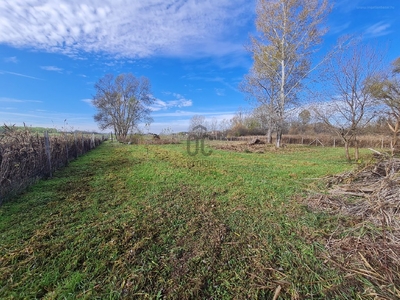 Szada, Szada, ingatlan, mezőgazd. ingatlan, 20002 m2, 53.000.000 Ft