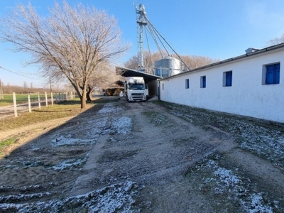 Szatymaz, ingatlan, üzleti ingatlan, 3968 m2, 390.000.000 Ft