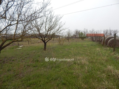 Szeged, ingatlan, mezőgazd. ingatlan, 1978 m2, 3.900.000 Ft