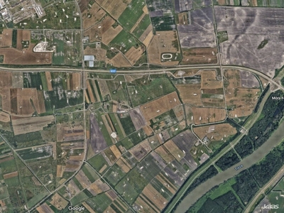 Tápé, Szeged, ingatlan, mezőgazd. ingatlan, 20000 m2, 5.500.000 Ft