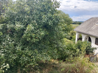 Zalaszentgrót, ingatlan, mezőgazd. ingatlan, 60 m2, 14.500.000 Ft