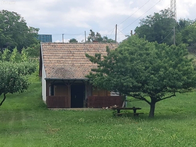 Külterületi nyaraló Zamárdiban - Zamárdi, Somogy - Szőlőskert-pince