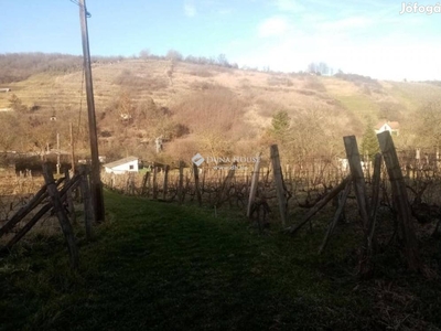 Árcsökkenés! Tokaj 3059 nm-es telek eladó kis házzal - Tokaj, Borsod-Abaúj-Zemplén - Telek, föld