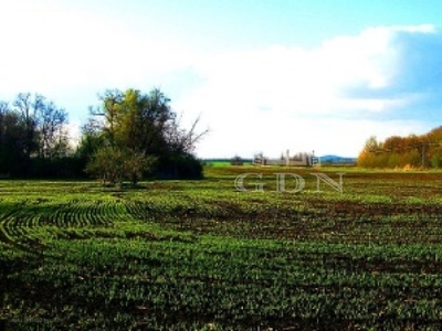 Üllő, ingatlan, mezőgazd. ingatlan, 7542 m2, 3.500.000 Ft