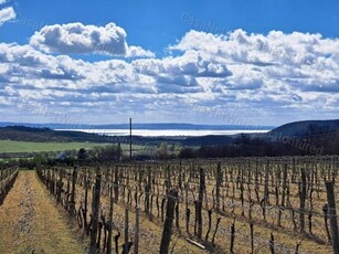 Eladó mezogazdasagi ingatlanSzentjakabfa