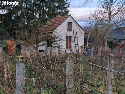 Borospince, présház, telek eladó! Sárvár - Hegyközség