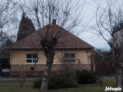 Eladó Tiszavasvári fő utcán kertes családi ház