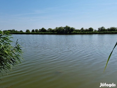 Holt-Tisza parti horgásztelek eladó