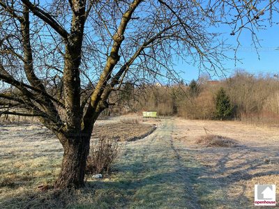 Eladó külterületi telek - Zalaegerszeg, Belváros