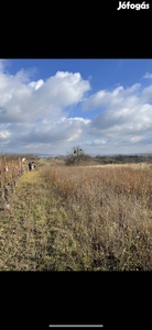 Panorámás Telek Környe - Környe, Komárom-Esztergom - Telek, föld