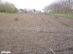 Ibrány - eladó építési telek - 2731 m2, a végében új utca nyitással