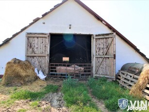 Szeghalomhoz közeli major jó állapotú épületekkel eladó