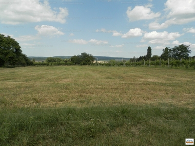 Eladó általános mezőgazdasági ingatlan - Balatonőszöd, Öreghegy