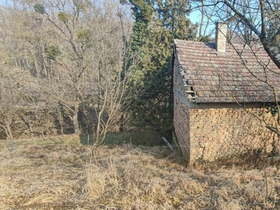 Eladó hétvégi házas nyaraló - Zalaszentgrót, Aranyod