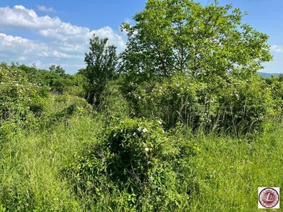 Eladó külterületi telek - Balatonhenye, Veszprém megye