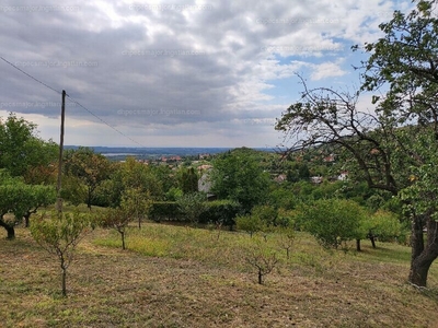 Eladó külterületi telek - Pécs, Alsóhegyi dűlő