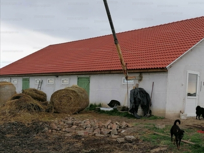 Eladó tanya - Hajdúszoboszló, Ady Endre utca