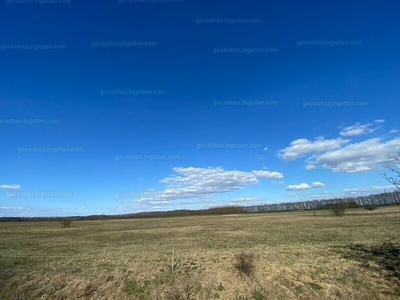 Eladó termőföld, szántó - Egyek, Hajdú-Bihar megye