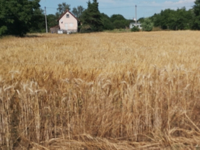 Eladó üdülőövezeti telek - Gárdony, Zártkert