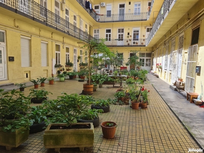 Szuper lakás a belváros szívében a SOTE-től 5 percre - IX. kerület, Budapest - Lakás