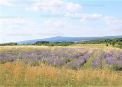 Eladó külterületi telek - Barnag, Külterület