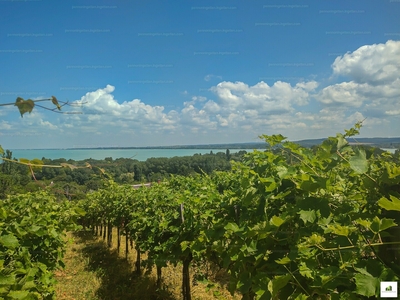 Eladó egyéb telek - Tihany, Kopaszhegy