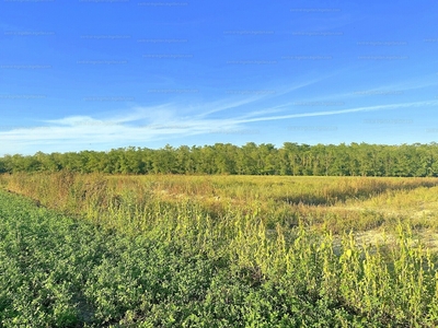 Eladó lakóövezeti telek - Mosonmagyaróvár, Duna-lakópark