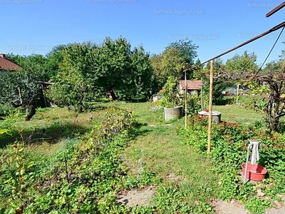 Eladó lakóövezeti telek - XVI. kerület, Cinkota - Ilonatelep