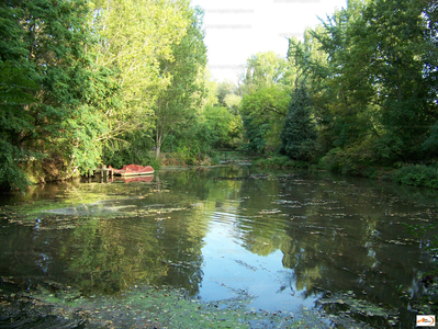 Eladó tanya - Vilonya, Veszprém megye