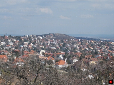 11. kerület, Menedékes utca