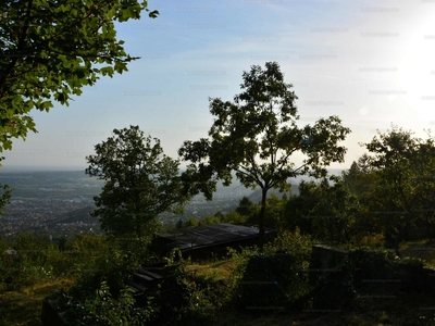 Eladó üdülőövezeti telek - Budaörs, Erdőalja utca