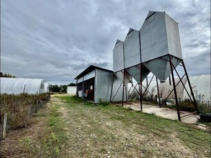 Állattartó telep Libatelep