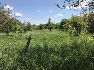 Baktó, Szeged, ingatlan, telek, 69.990.000 Ft